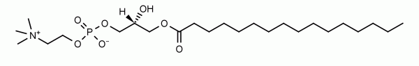 P-lysoPC, LPC - Echelon Biosciences