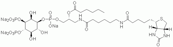 GloPIPs Biotin-PI(3,4)P2 - Echelon Biosciences