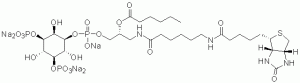 GloPIPs Biotin-PI(3,5)P2 - Echelon Biosciences
