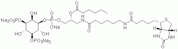 GloPIPs Biotin-PI(3,5)P2 - Echelon Biosciences