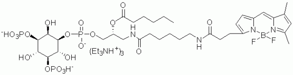 GloPIPs BODIPY FL-PI(3,5)P2 - Echelon Biosciences