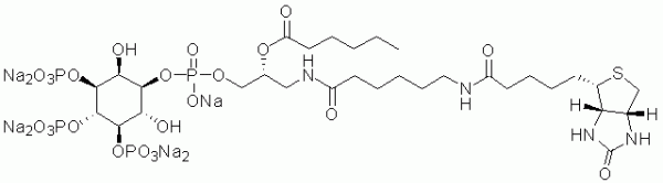 GloPIPs Biotin-PI(3,4,5)P3 - Echelon Biosciences