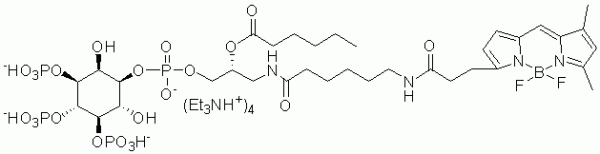 GloPIPs BODIPY FL-PI(3,4,5)P3 - Echelon Biosciences