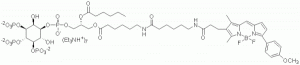 BODIPY TMR PI(3,4,5)P3 - Echelon Biosciences