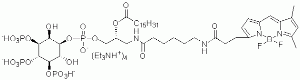 GloPIPs BODIPY FL-PI(3,4,5)P3, C16 - Echelon Biosciences