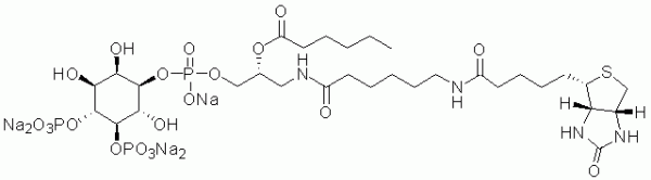 GloPIPs Biotin-PI(4,5)P2 - Echelon Biosciences