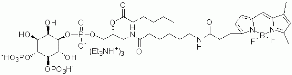 GloPIPs BODIPY FL-PI(4,5)P2 - Echelon Biosciences