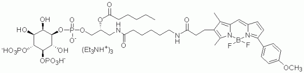 GloPIPs BODIPY TMR-PtdIns(4,5)P2 - Echelon Biosciences