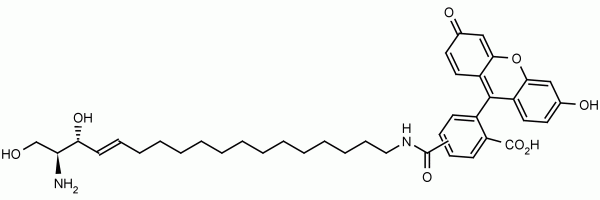 Sphingosine-fluorescein - Echelon Biosciences