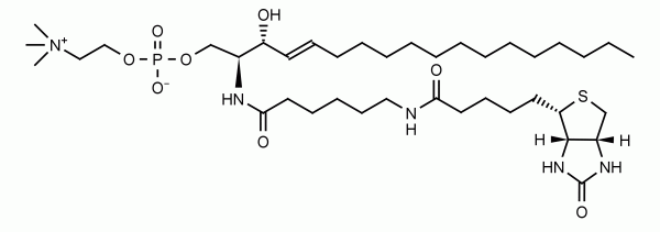 Biotin Sphingomyelin - Echelon Biosciences