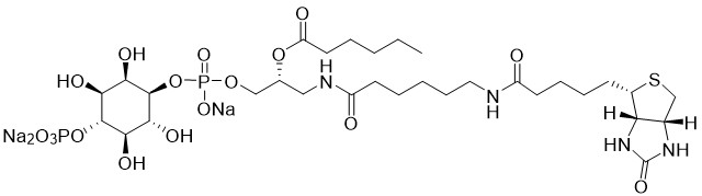 Biotin PI(4)P - Echelon Biosciences