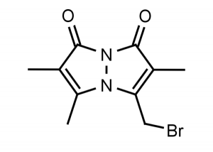 Monobromobimane - Echelon Biosciences