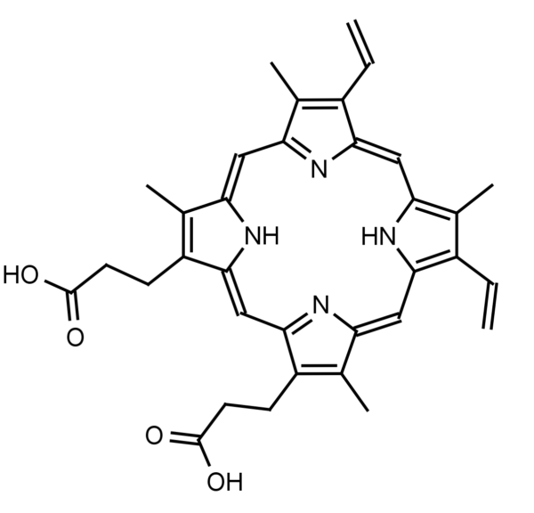 Protoporphyrin IX - Echelon Biosciences