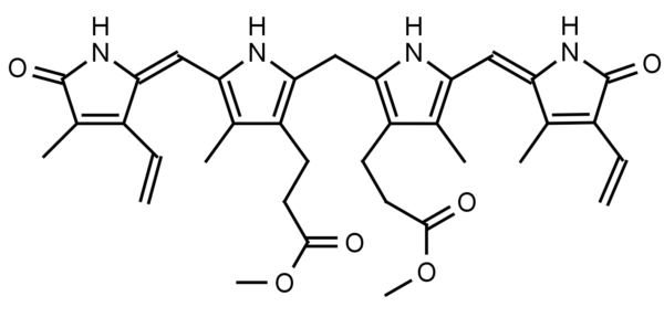 Bilirubin dimethyl ester - Echelon Biosciences