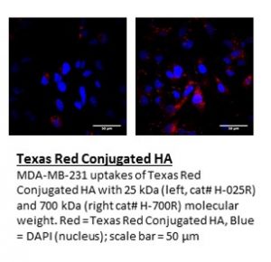 Texas Red HA - Echelon Biosciences