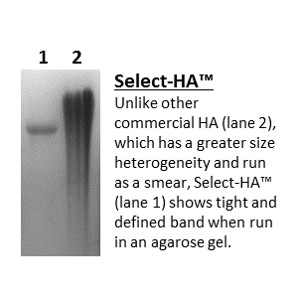 Select-HA (Hyalose) - Echelon Biosciences