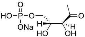 1-Deoxy-D-xylulose 5-phosphate (DXP) - Echelon Biosciences