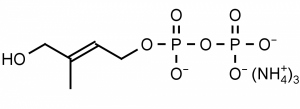 1-Hydroxy-2-methyl-2-buten-4-yl 4-diphosphate (HDMAPP) - Echelon Biosciences