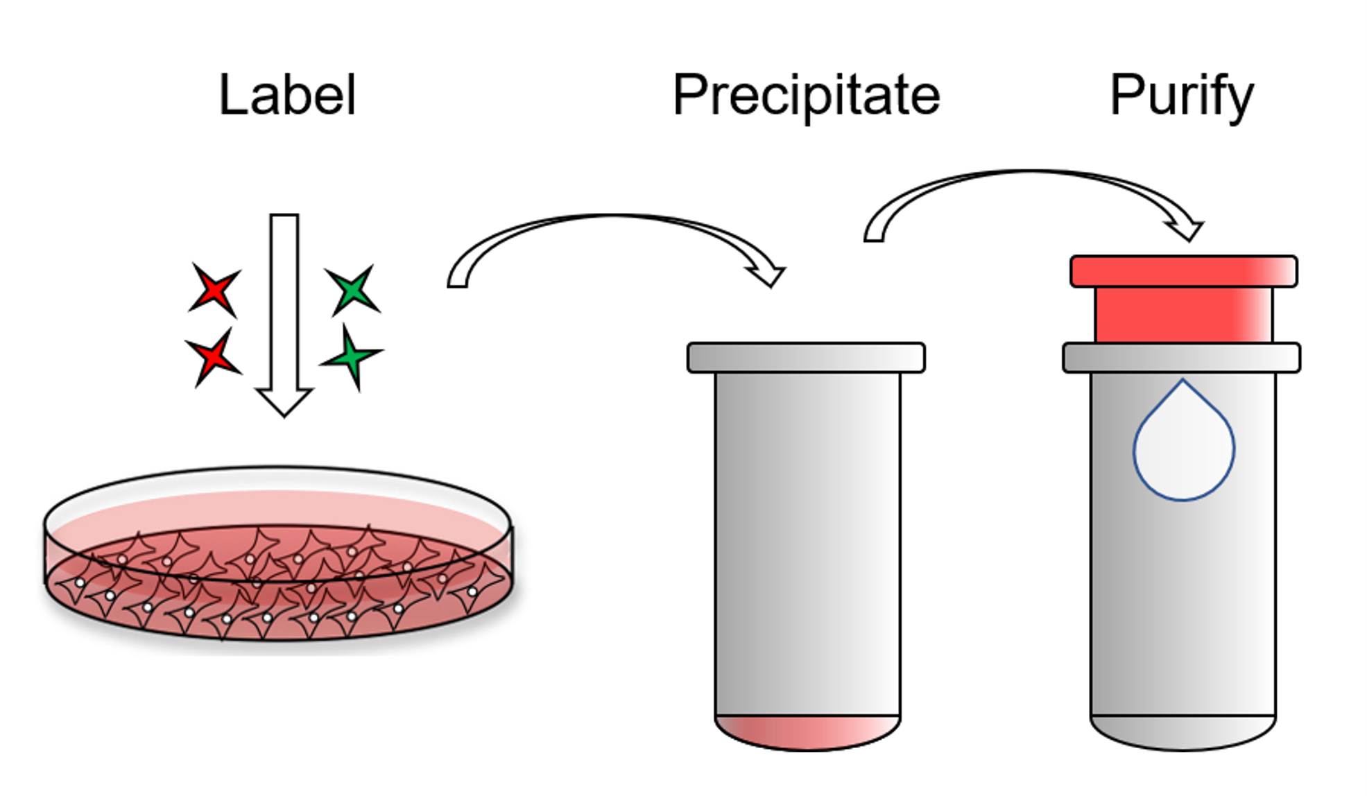 ExoClean, Exosome Purification Kit - Echelon Biosciences