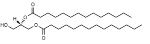 Dimyristoyl-sn-glycerol - Echelon Biosciences