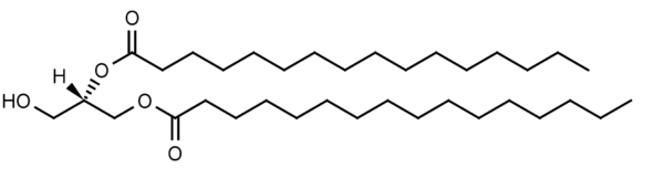 Dipalmitoyl-sn-glycerol - Echelon Biosciences