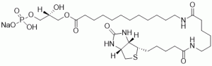 Biotinylated LPA - Echelon Biosciences