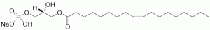 Oleoyl LPA, 18:1 LPA - Echelon Biosciences