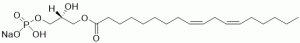 Linolenoyl LPA, 18:2 LPA - Echelon Biosciences