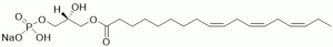 Linolenoyl LPA, 18:3 - Echelon Biosciences