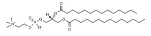 1,2-Dimyristoyl-sn-glycero-3-phosphocholine (DMPC) - Echelon Biosciences