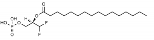 (2R)-1,1-difluoro-2-palmitoyloxy-3-phosphopropane (XY-4) - Echelon Biosciences