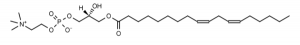 18:2 lysoPC - Echelon Biosciences