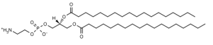 1,2-Distearoyl-sn-glycero-3-phosphoethanolamine (DSPE) - Echelon Biosciences
