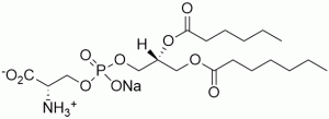 1,2-Dihexanoyl-sn-glycero-3-phosphoserine, sodium salt (DHPS) - Echelon Biosciences