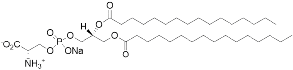 1,2-Dipalmitoyl-sn-glycero-3-phosphoserine, sodium salt (DPPS) - Echelon Biosciences