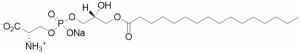 1-Palmitoyl-2-hydroxy-sn-glycero-3-phospho-L-serine (16:0) - Echelon Biosciences