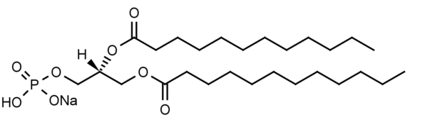 1,2-Dilauroyl-sn-glycero-3-phosphate, sodium salt (DLPA) - Echelon Biosciences