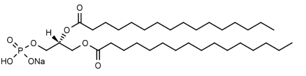 1,2-Dipalmitoyl-sn-glycero-3-phosphate, sodium salt (DPPA) - Echelon Biosciences