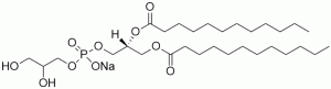 1,2-Dilauroyl-sn-glycero-3-phosphoglycerol, sodium salt (DLPG) - Echelon Biosciences