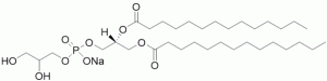 1,2-Dimyristoyl-sn-glycero-3-phosphoglycerol, sodium salt (DMPG) - Echelon Biosciences