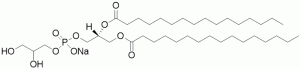 1,2-Dipalmitoyl-sn-glycero-3-phosphoglycerol, sodium salt (DPPG) - Echelon Biosciences