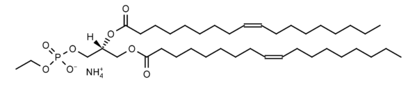1,2-Dioleoyl-sn-glycero-3-phosphoethanol (DOPEth) - Echelon Biosciences