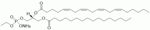 1-Palmitoyl-2-arachidonoyl-sn-glycero-3-phosphoethol (PAPEth) - Echelon Biosciences