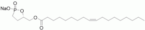 Oleoyl 3-carbacyclic Phosphatidic Acid - Echelon Biosciences