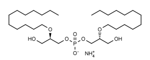 Ether C12 Lysobisphosphatidic acid ((R,R)-2,2’-Bisdodecyl-LBPA ammonium salt) - Echelon Biosciences