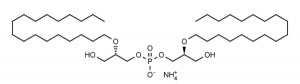 Ether C18 Lysobisphosphatidic acid ((S,S)-2,2’-Bisoctadecyl-LBPA ammonium salt) - Echelon Biosciences