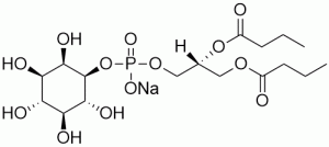 Phosphatidylinositol diC4 (PI diC4) - Echelon Biosciences