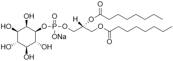 Phosphatidylinositol diC8 (PI diC8) - Echelon Biosciences
