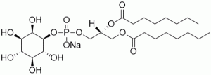 Phosphatidylinositol diC8 (PI diC8) - Echelon Biosciences
