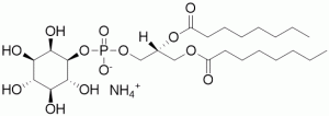 Phosphatidylinositol diC8 (ammonium salt) - Echelon Biosciences